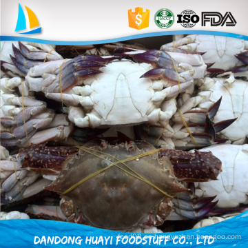 Cangrejo azul de la pesca de la buena calidad del precio al por mayor iqf cangrejo de los mariscos